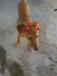 * LUNA *