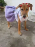 * LUNA *