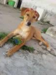 * LUNA *