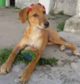 * LUNA * 