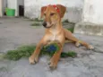 * LUNA * 