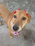* LUNA *