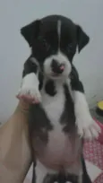 * NINA *