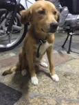 Marley 