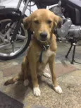 Marley 