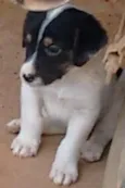 Ainda não tem nome. 