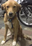 Marley 