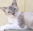 Megan