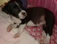 * NINA *