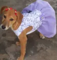 * LUNA *