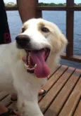 Tobias