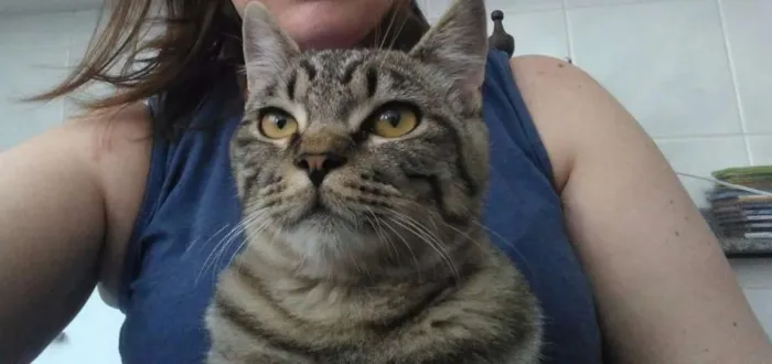 Gato raça n/a idade 1 ano nome n/a