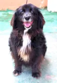 Belinha Pequenina