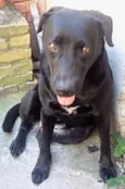 Hanna