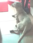 Júlio