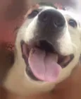 Júlio