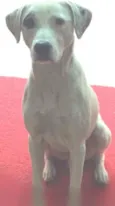 Júlio