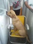 Zeca