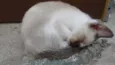 Lupita