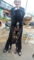 Negão 