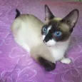 Linda