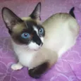 Linda