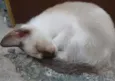 Lupita