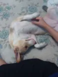 Nick