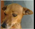 Ralf