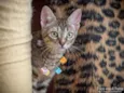 MATILDA