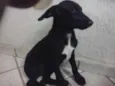 SEM NOME