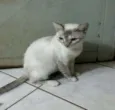 MAITTE