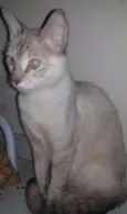MAITTE