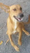 Princesa