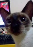 Anúbis