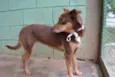 Mônica - Fofura!