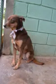 Mônica - Fofura!