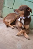 Mônica - Fofura!