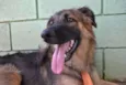 PARVEL, mais lindo 