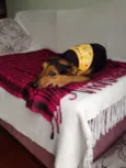 Lilika