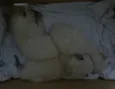 não nomeados