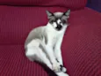 Bil