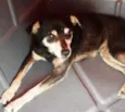 Tito
