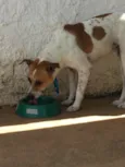 Léo
