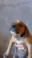 Baby