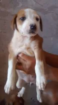 Baby