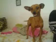 Lorenzo