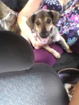 caco