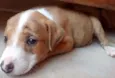 Baby