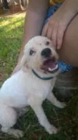 Branquinho